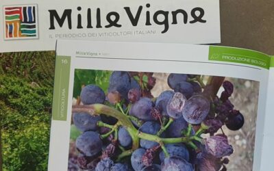 DIFESA BIOLOGICA CONTRO I MARCIUMI DEL GRAPPOLO. PARTE 2