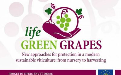 UN APPROCCIO MULTIDISCIPLINARE PER IL CAMMINO GREEN DELLA FILIERA VIVAISTICA