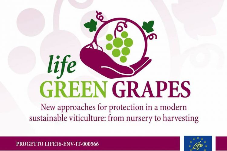 UN APPROCCIO MULTIDISCIPLINARE PER IL CAMMINO GREEN DELLA FILIERA VIVAISTICA