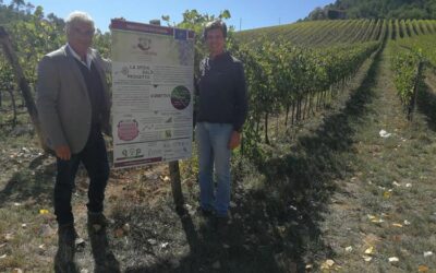 PRIMO COMPLEANNO DI LIFE GREEN GRAPES