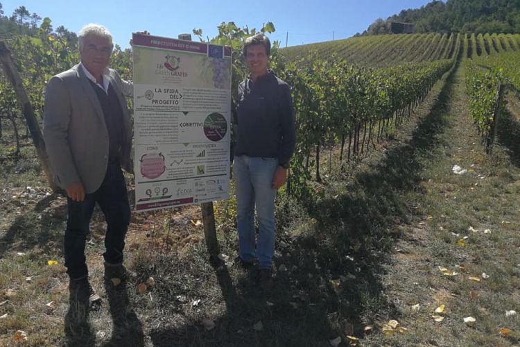 PRIMO COMPLEANNO DI LIFE GREEN GRAPES