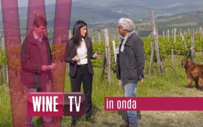 NUOVI VIDEO AGRONOMINVIGNA IN ONDA SU WINETV
