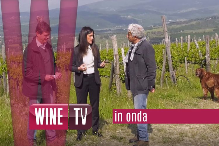 NUOVI VIDEO AGRONOMINVIGNA IN ONDA SU WINETV