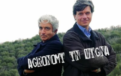 MESSA A DIMORA DELLE PIANTE E GESTIONE DI UN VIGNETO BIO: COLTIVIAMO L’INVISIBILE
