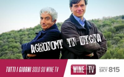 AGRONOMI IN VIGNA SU WINE TV
