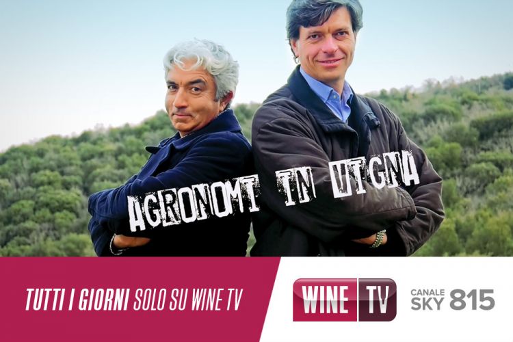 AGRONOMI IN VIGNA SU WINE TV