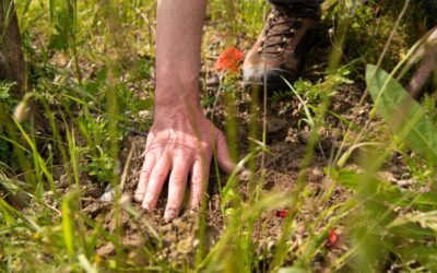 LA TERRITORIALITÀ DEI VINI AI TEMPI DEL COVID-19 (E NON SOLO) – PARTE TERZA