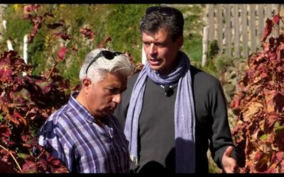 NUOVO VIDEO AGRONOMINVIGNA SU WINE TV!