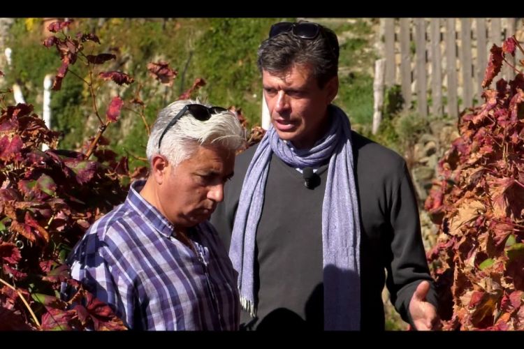 NUOVO VIDEO AGRONOMINVIGNA SU WINE TV!