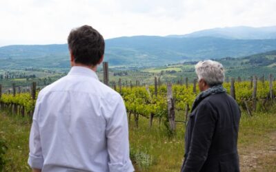 LA TERRITORIALITÀ DEI VINI AI TEMPI DEL COVID-19 (E NON SOLO) – PARTE PRIMA