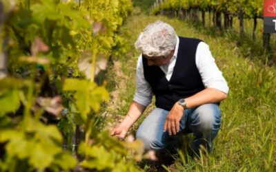 MARCO PIERUCCI PER I GRANDI VINI