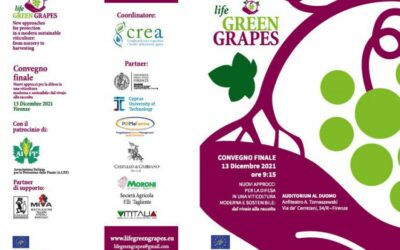 LIFE GREEN GRAPES: CONVEGNO FINALE 13 DICEMBRE 2021