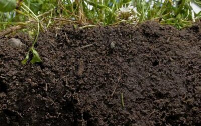 IL PROTOCOLLO FAO PER MONITORARE LA GESTIONE SOSTENIBILE DEL SUOLO