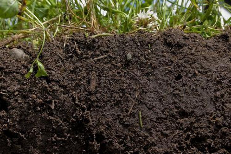 IL PROTOCOLLO FAO PER MONITORARE LA GESTIONE SOSTENIBILE DEL SUOLO