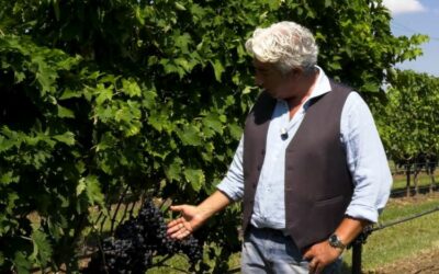 IL MONDO DEI CLONI – MONTEPULCIANO TEA5