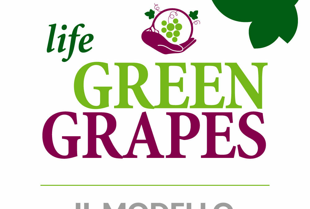 Il Modello Life Green Grapes