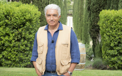 I grandi vini di territorio