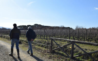 I racconti di Marzo 2022