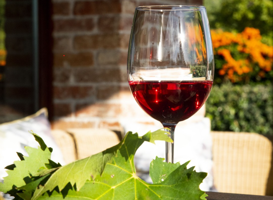 Ottenere grandi vini attraverso lo studio