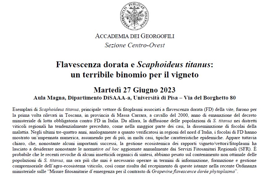 Flavescenza dorata e Scaphoideus titanus: un terribile binomio per il vigneto