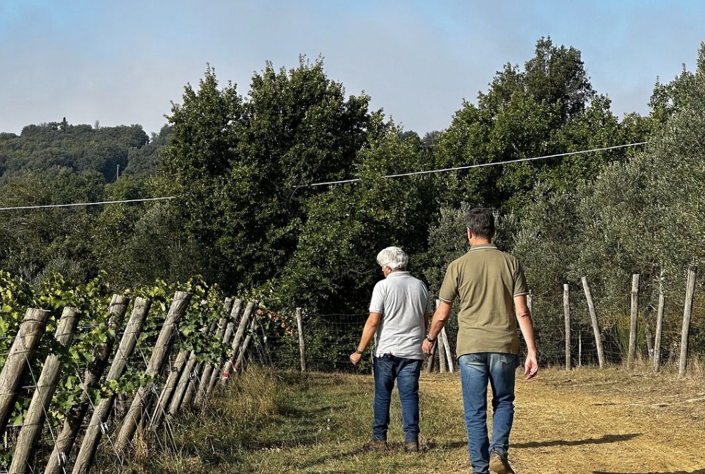 L’importanza del decompattamento del terreno