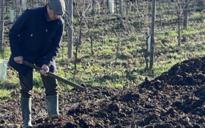 Il letame come amico del terreno