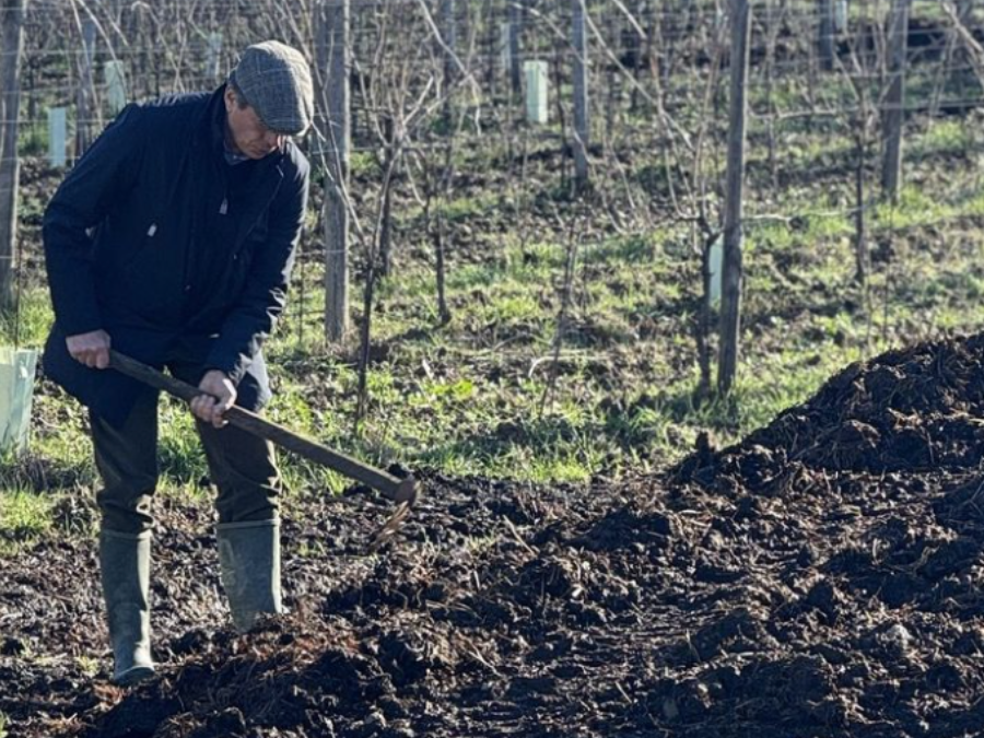 Il letame come amico del terreno